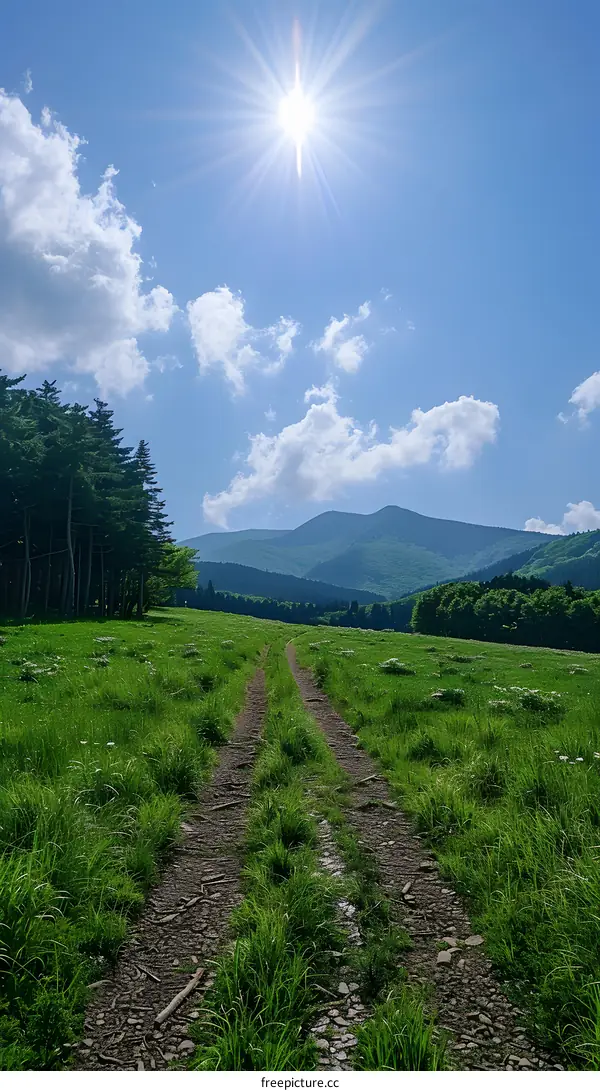 Dirt Road Through Green Meadow to the Mountains