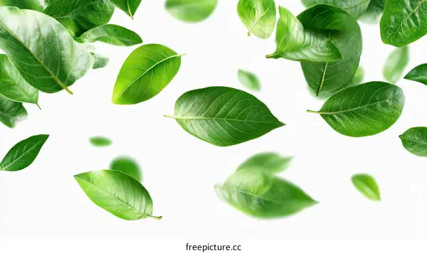 Flying Green Leaves in Motion