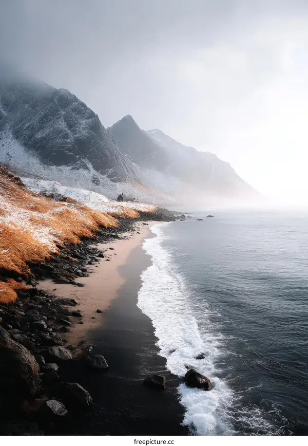 Winter Coastline Landscape with Snowy Mountains