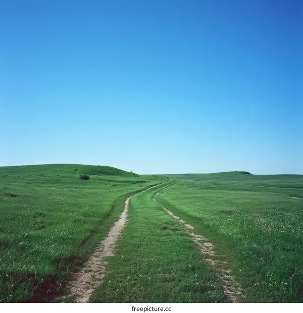 Rural Dirt Road Through Rolling Green Hills