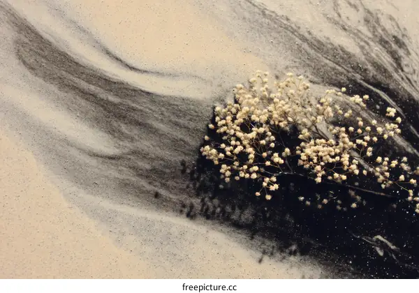 Abstract Texture of Sand and Flowers