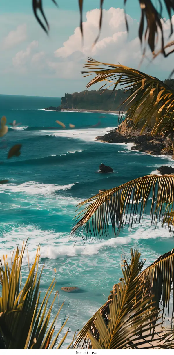 Tropical Beach Ocean Landscape View