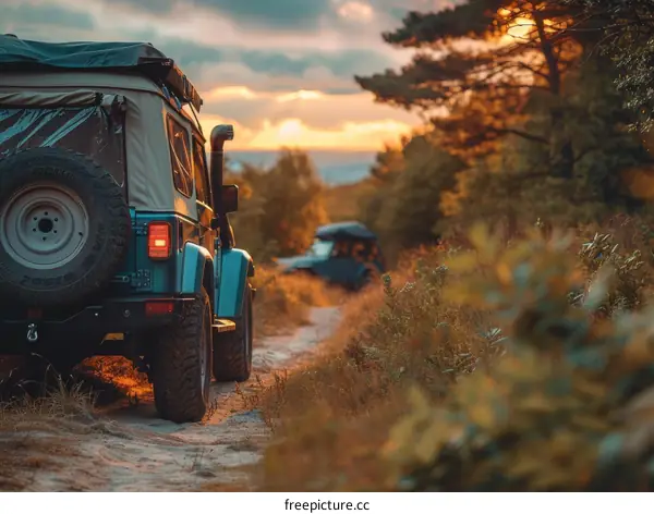 Off-roading through the forest