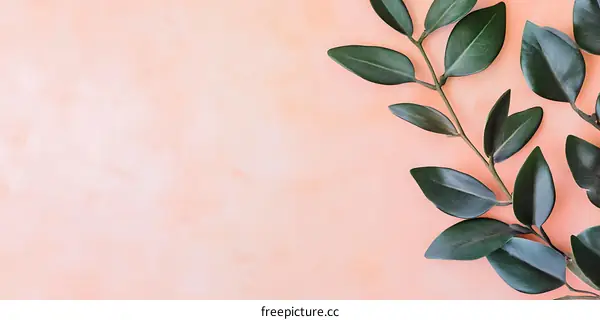 Green Leaves On A Peach Background