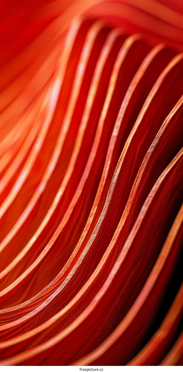 red wavy wooden surface