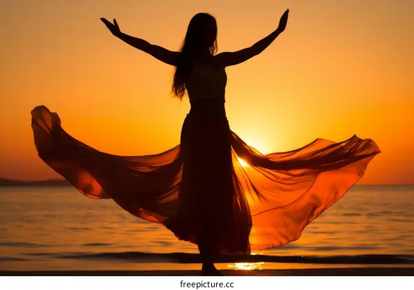 Dancing in the sunset