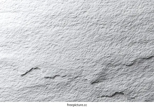 Abstract Texture of Light Gray Stone