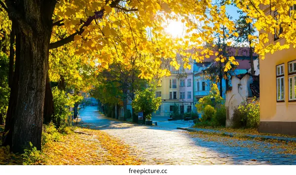 Autumnal Charm of a Colorful European Street