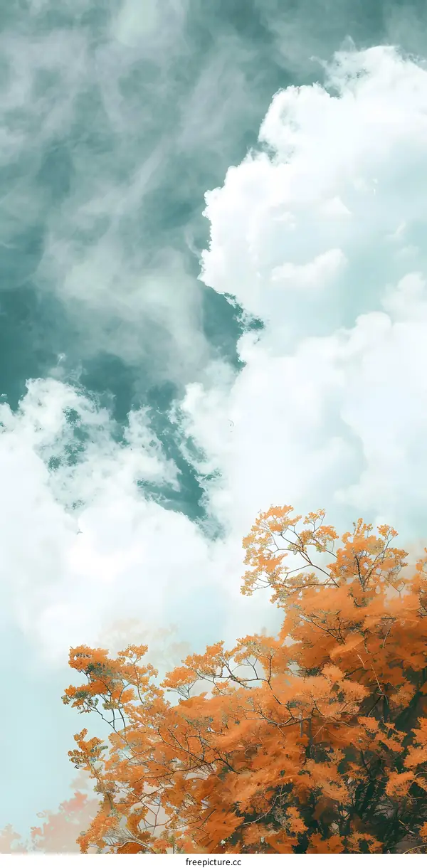 Orange Tree Branches Against A Blue Sky With Clouds