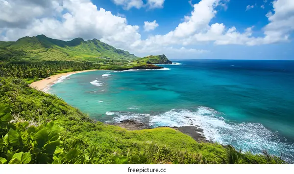 Tropical Beach Landscape with Lush Green Hills and Clear Blue Ocean