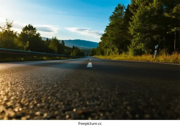 Scenic road surrounded by lush green trees under a clear blue sky