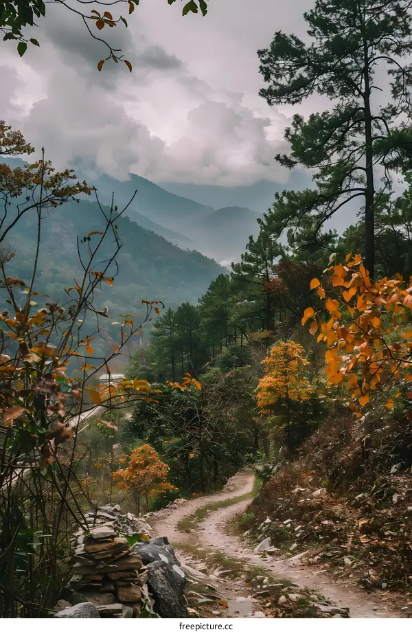 Mountain Path through Forest with Cloudy Sky