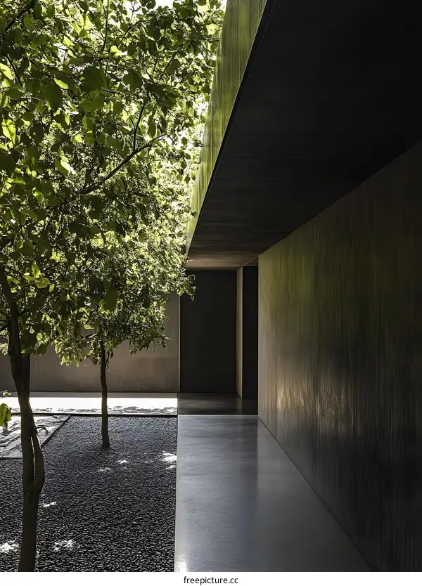 Minimalist Concrete Patio with Greenery