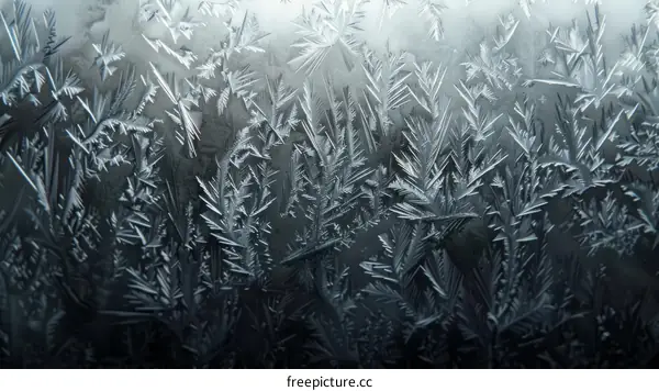 Ice crystals on a window in winter