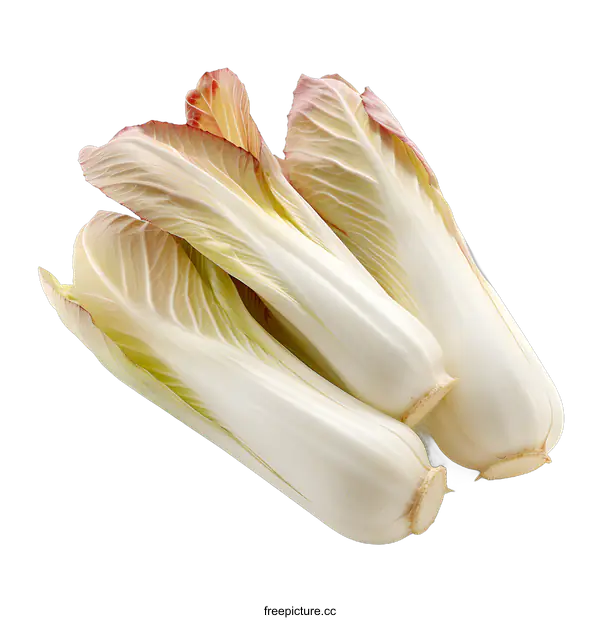 [Transparent Background PNG]Three heads of white and red chicory isolated on white background