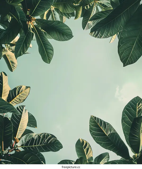 Green Leaves Frame Against Blue Sky Background