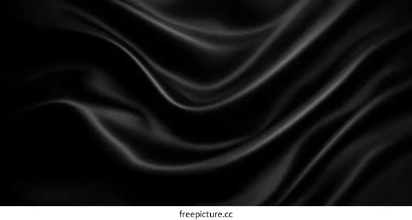 Elegant Black Silk Fabric Texture