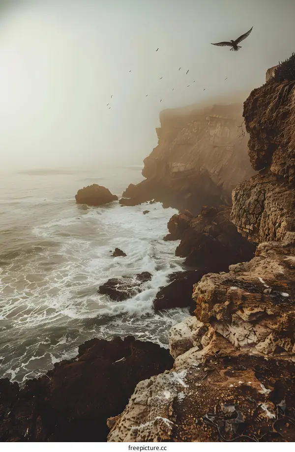 Cliffside Ocean View with Birds Flying