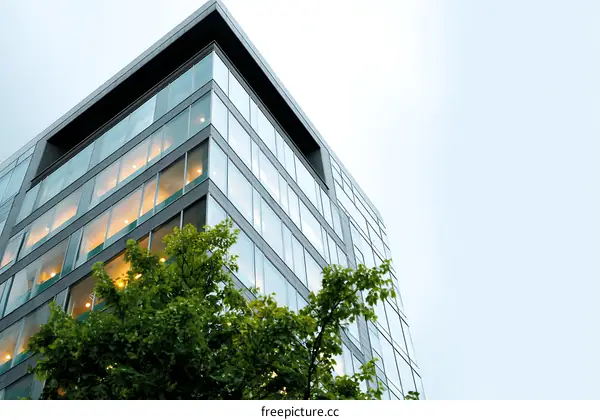 Modern Office Building with Green Tree