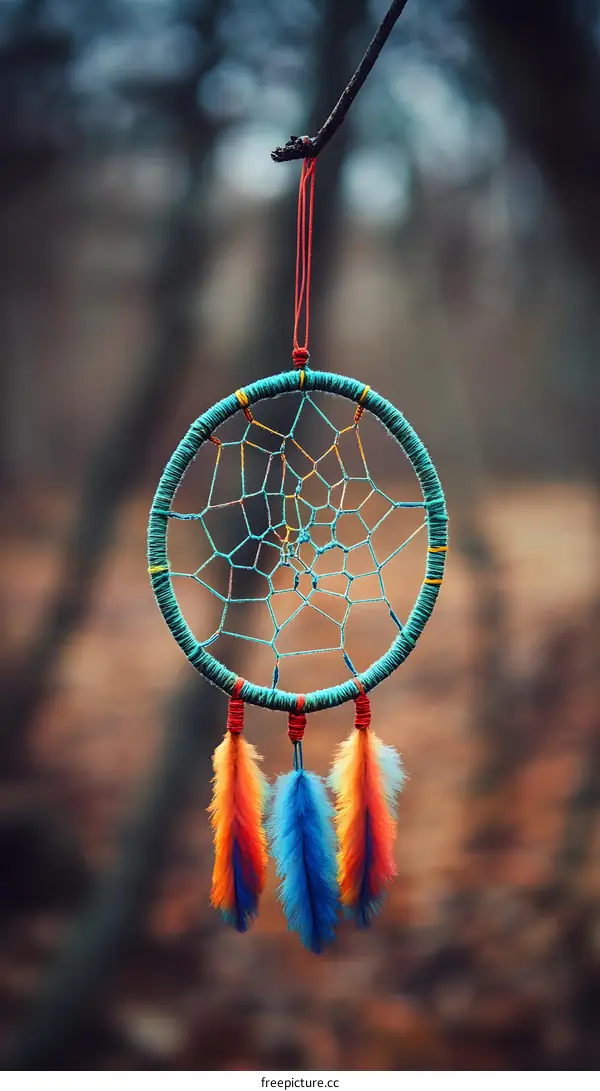 Dreamcatcher With Feathers Hanging on a Branch