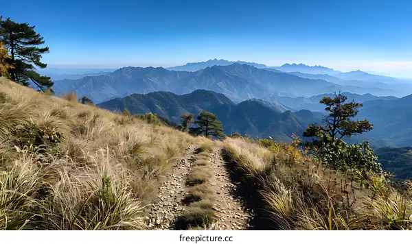 Mountain path with dry grass and distant mountains