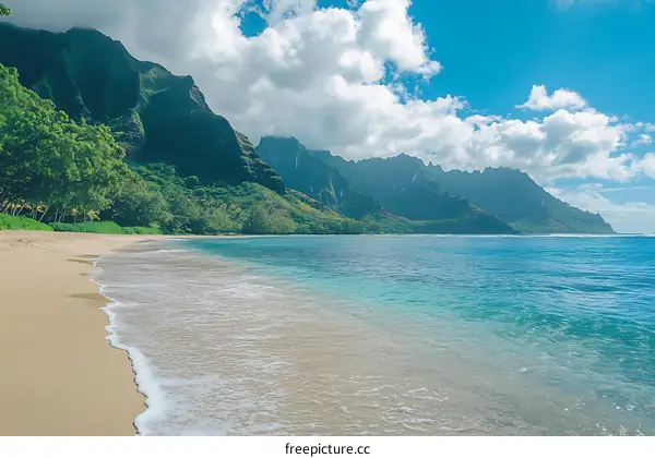 Tropical Beach with Lush Green Mountains in the Background