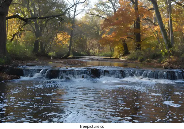 Small Waterfall in a Forest During Autumn