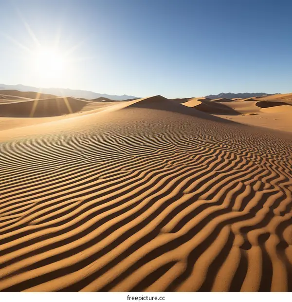 A vast expanse of sand dunes in the desert with the sun shining
