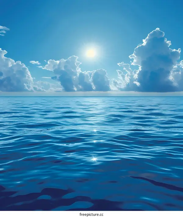 The Beauty of the Sea