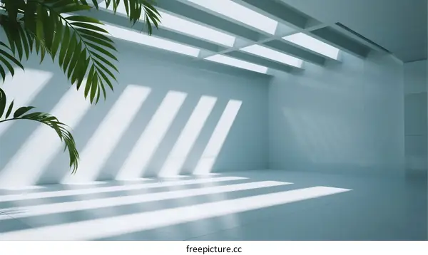 Bright Modern Interior Space with Natural Light and Green Plant