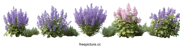 [Transparent Background PNG]Beautiful Flower Arrangement in Various Colors