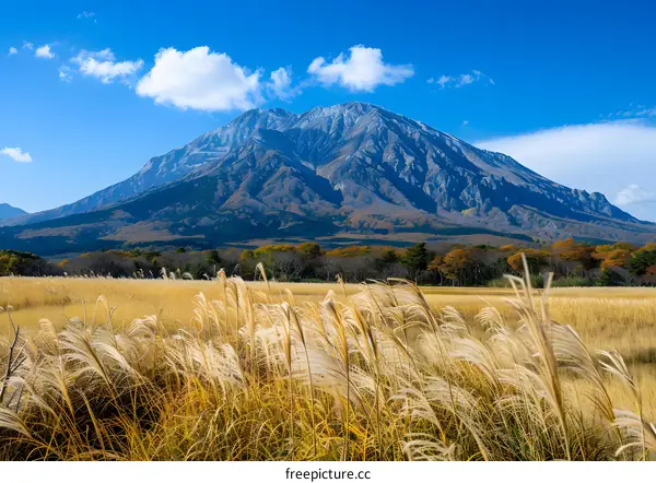 Mountain Landscape with Golden Grass Field