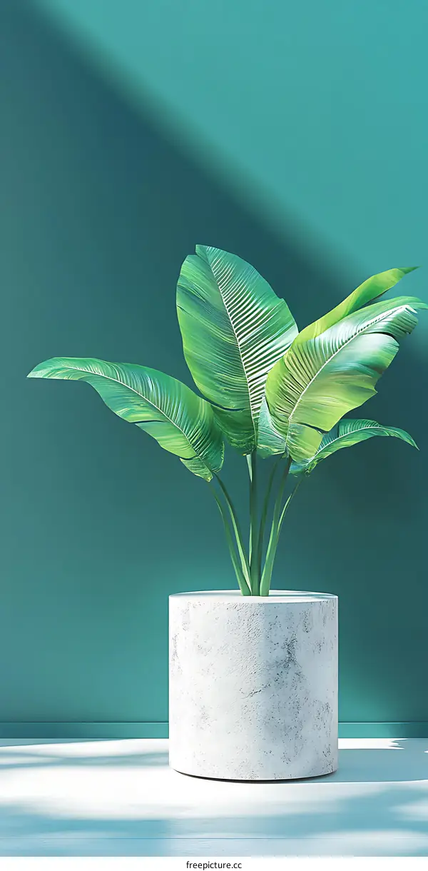 Green Plant in White Pot with Turquoise Background