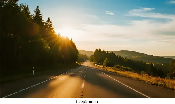 Sunlit road through forested landscape at sunrise