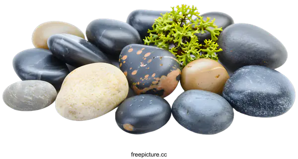 [Transparent Background PNG]Smooth River Rocks and Green Plant on White Background