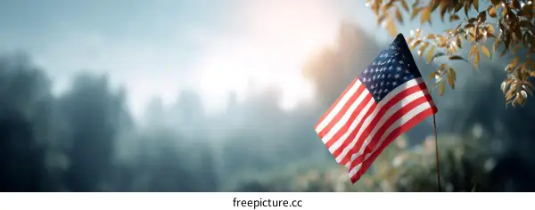 American Flag in a Misty Forest Scene