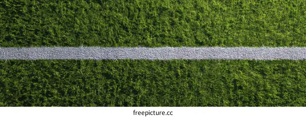 Artificial Grass Field Line Detail