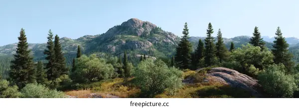 Mountain Scenery in a Lush Forest