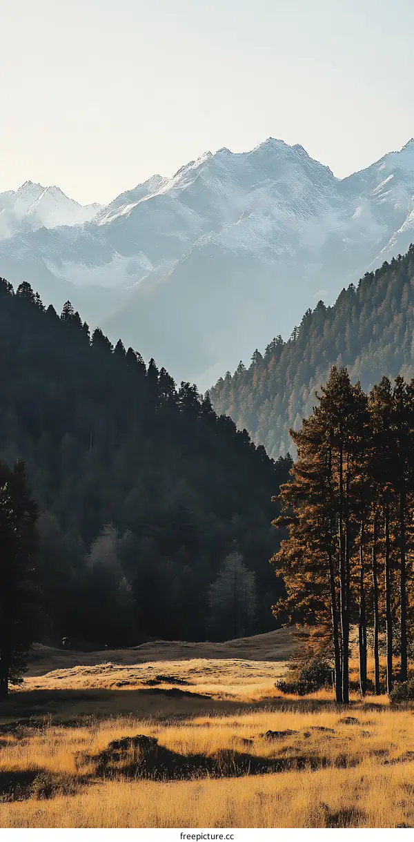 Mountain Landscape with Snow Capped Peaks and Pine Trees