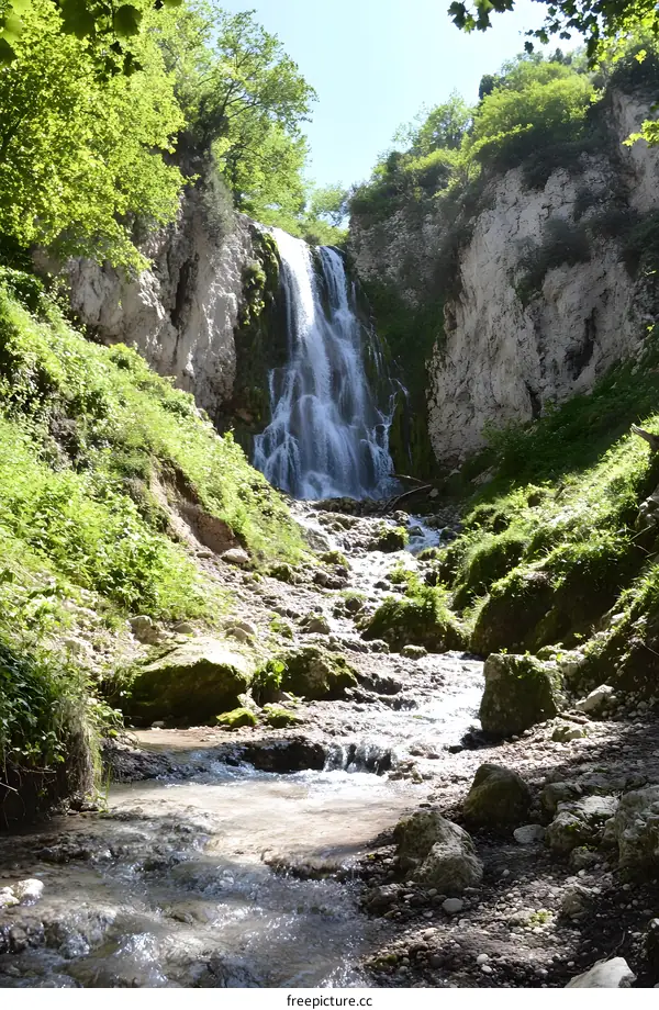Waterfall in Green Forest Landscape