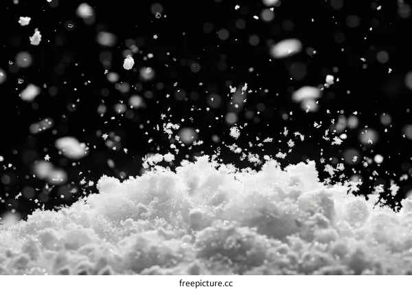 Black and white photo of snow falling on snow