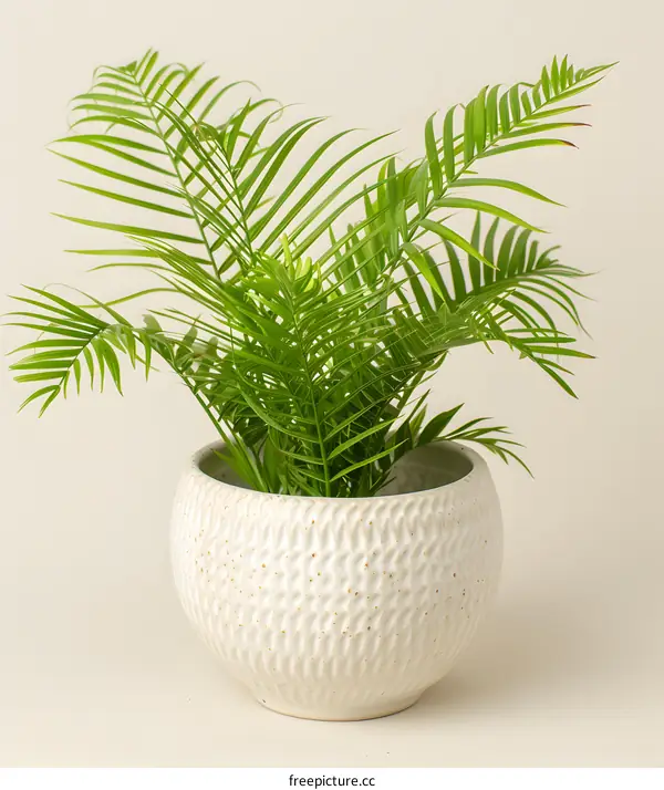 Green Plant in White Pot on Beige Background