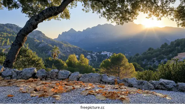 Mountain View at Sunset with Autumn Leaves