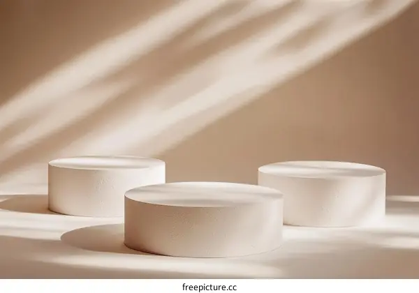 Minimalist Modern Product Display Stands