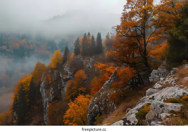 Autumn Mountain Landscape with Fog