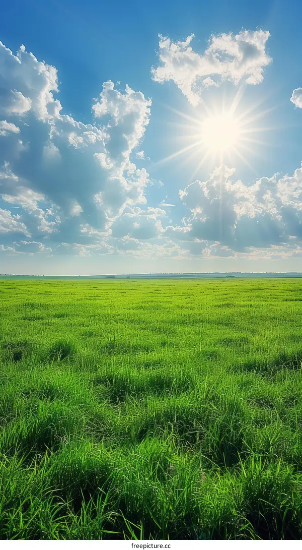 Green Grass Field Under Blue Sky