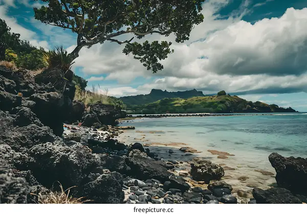 Scenic View of a Lush Tropical Island with Rocky Coastline and Turquoise Waters
