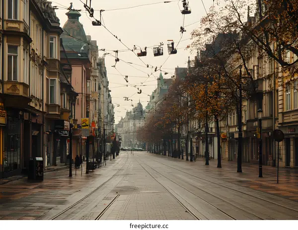 Empty Street with Tram Tracks and Buildings in Autumn