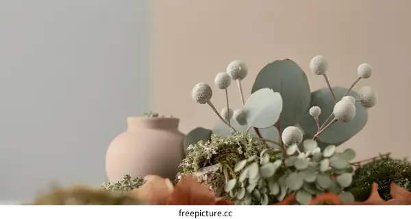 Close Up of Eucalyptus Branches With Round Buds and Pot in the Background