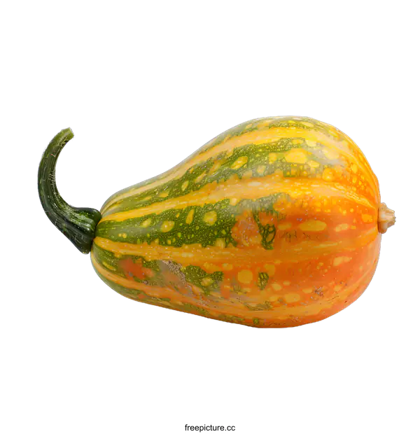 [Transparent Background PNG]Colorful Striped Gourd Isolated on White Background